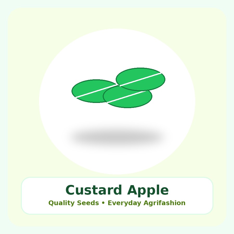 Custard Apple Seeds 25 Seeds