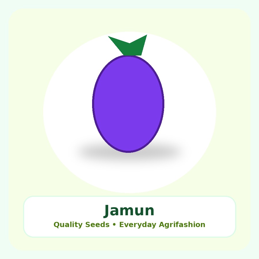 Jamun Seeds 25 Seeds