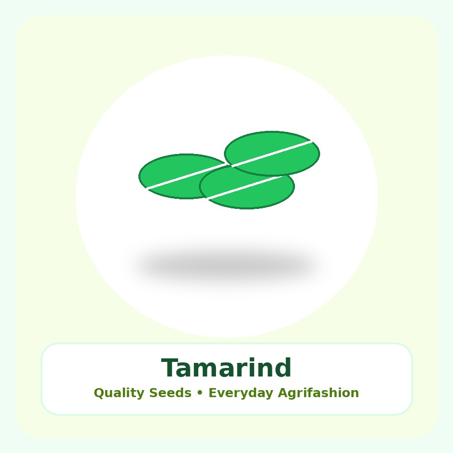 Tamarind Seeds 50 Seeds