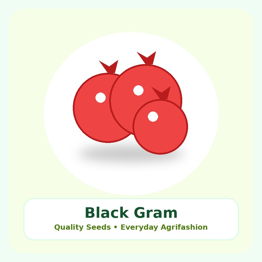 Black Gram Seeds 5kg
