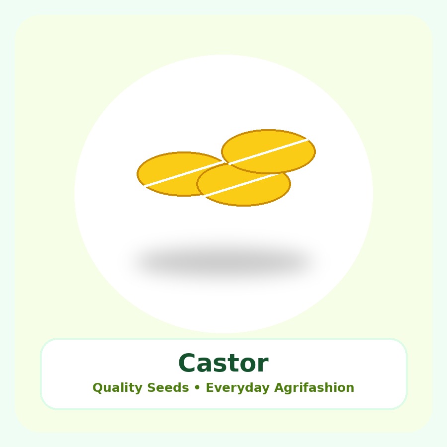 Castor Seeds 5kg