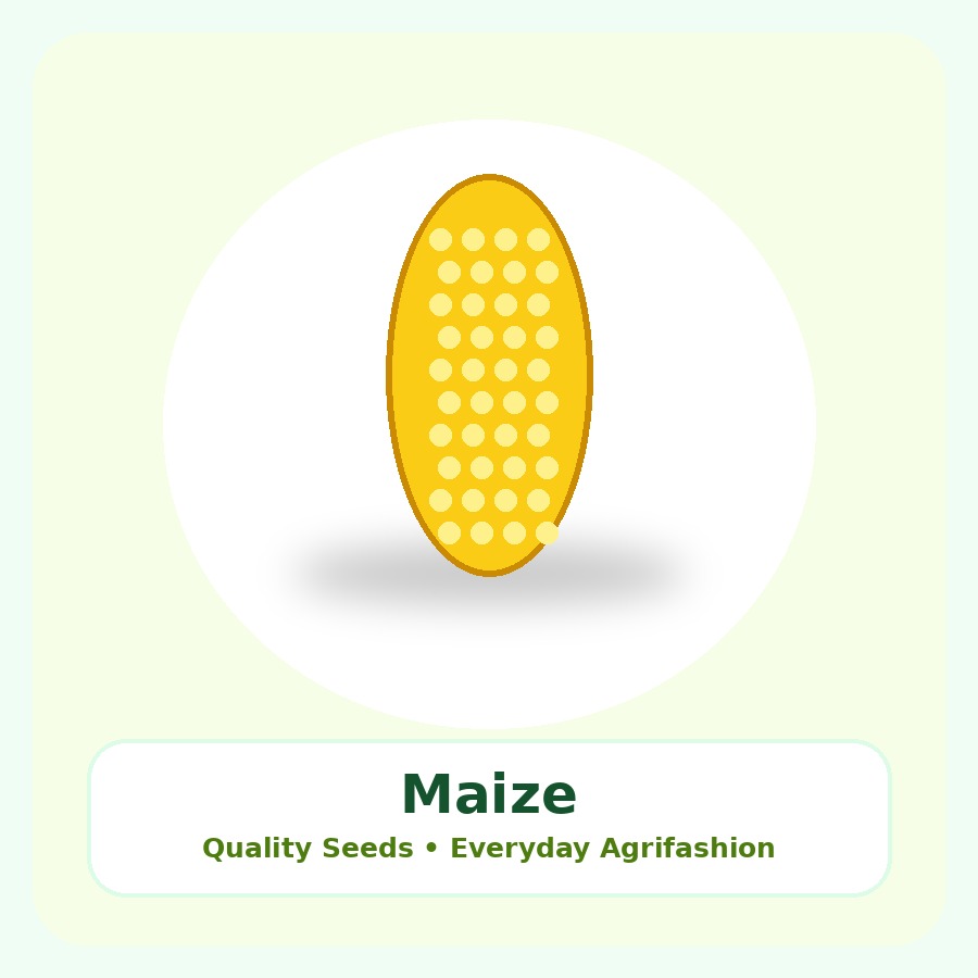 Maize Seeds 10kg