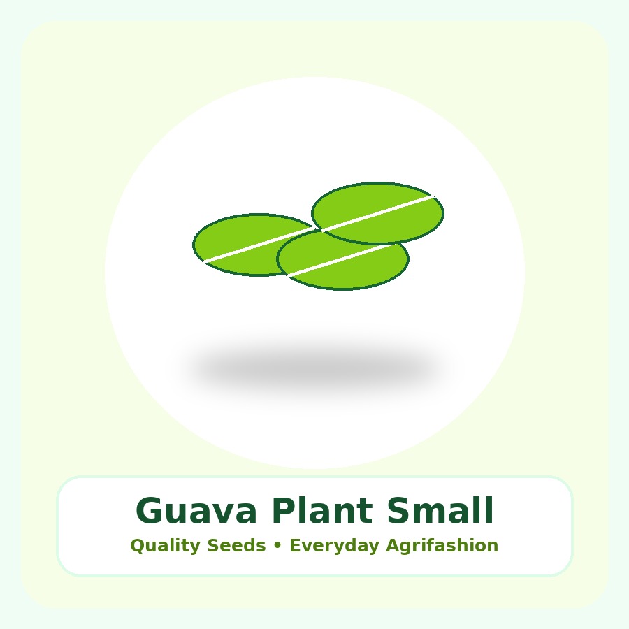Guava Plant Small Nursery Bag