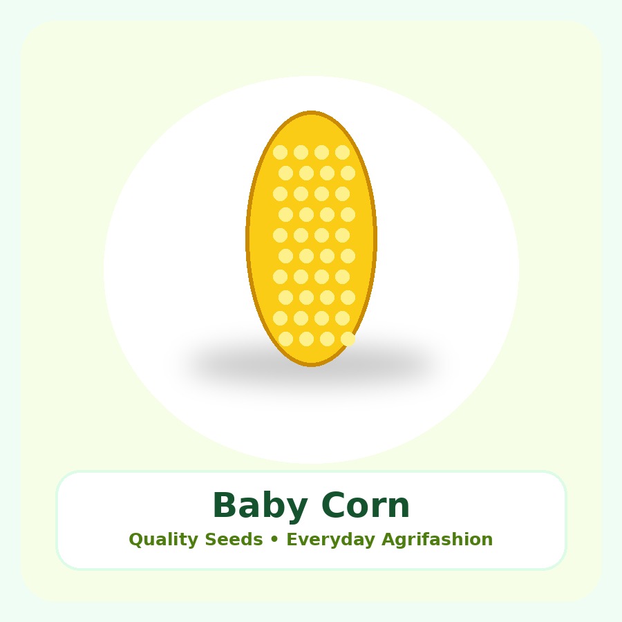 Baby Corn Seeds 100g