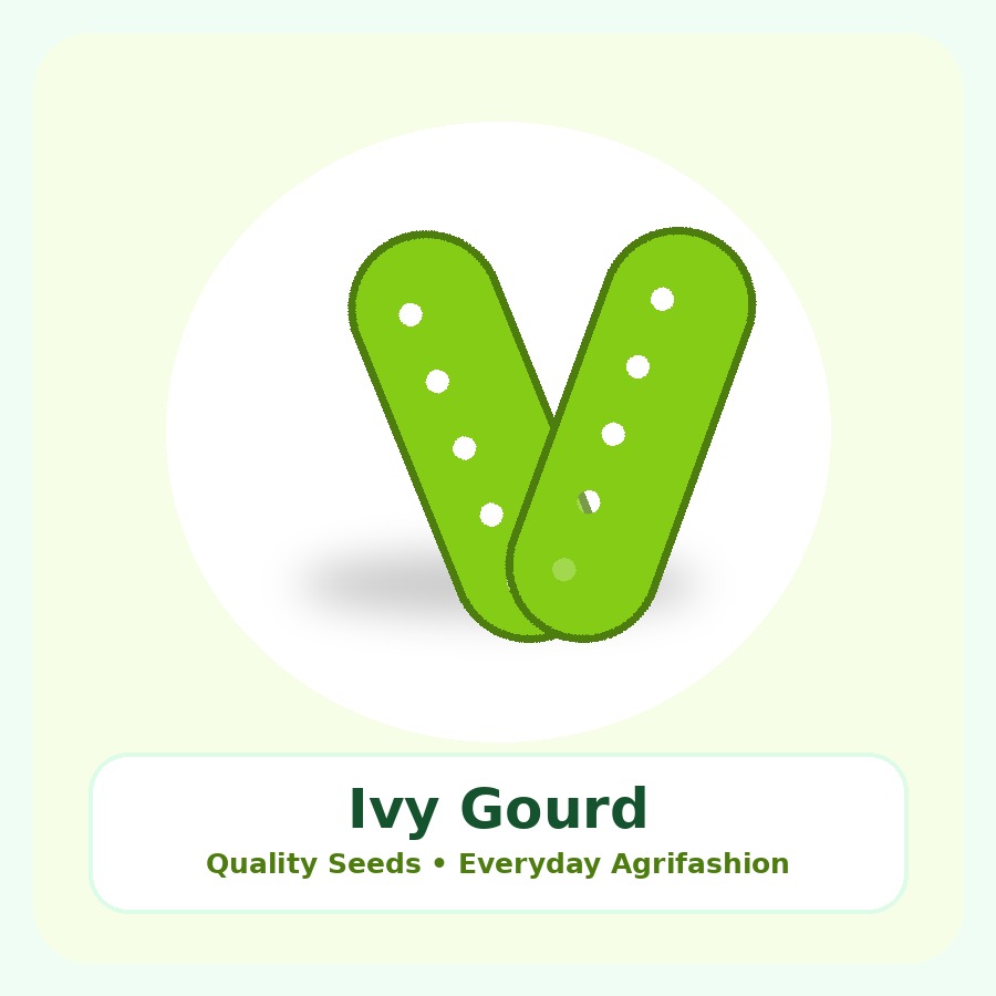Ivy Gourd Seeds 1kg
