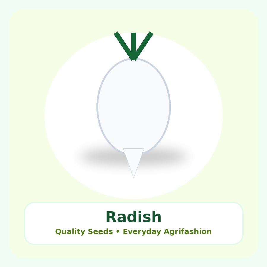 Radish Seeds 1kg