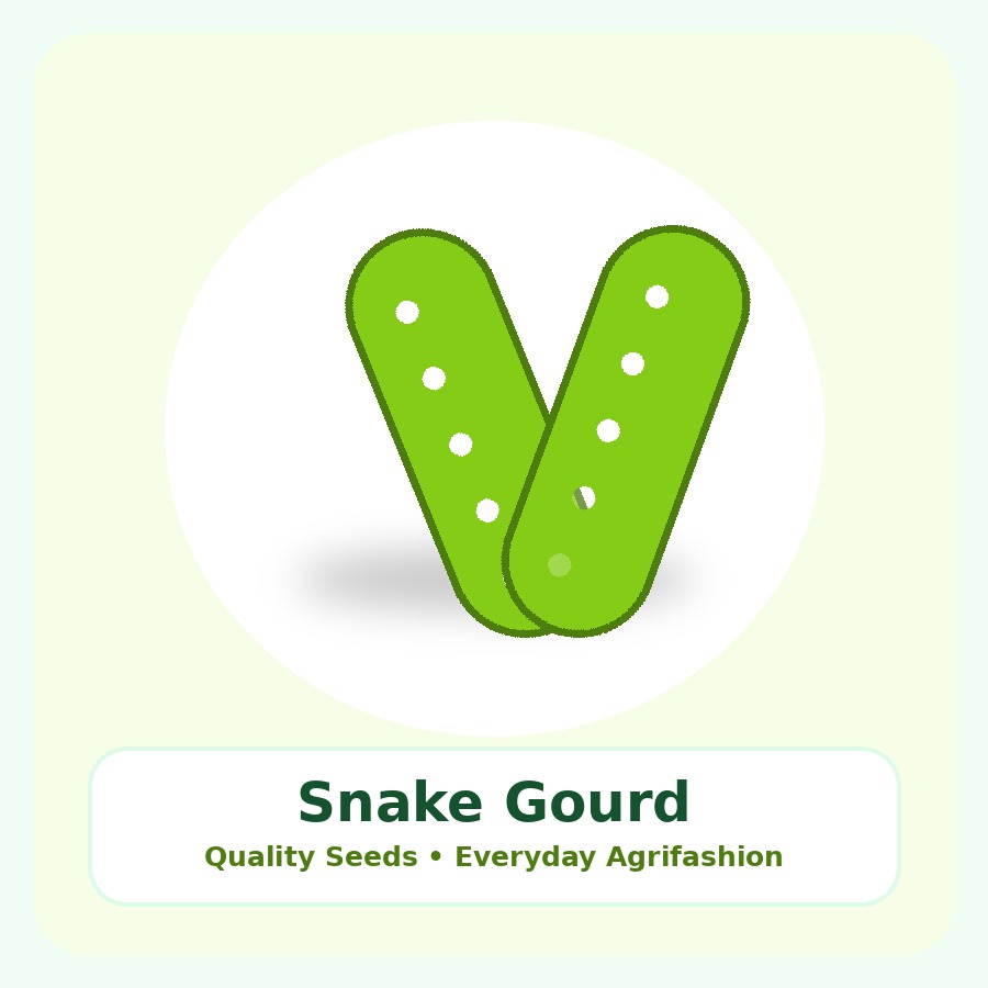 Snake Gourd Seeds 500g