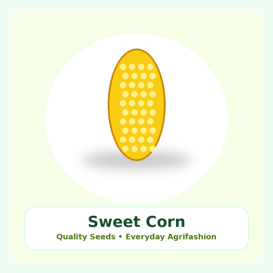 Sweet Corn Seeds 1kg